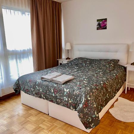 Comfort Appartment 2 Schafzimmer Basel Luaran gambar