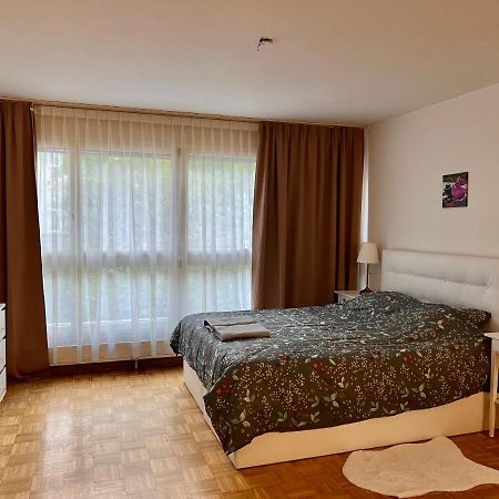 Comfort Appartment 2 Schafzimmer Basel Luaran gambar