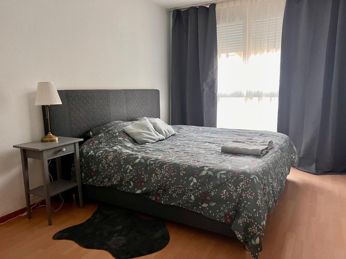 Comfort Appartment 2 Schafzimmer Basel Luaran gambar