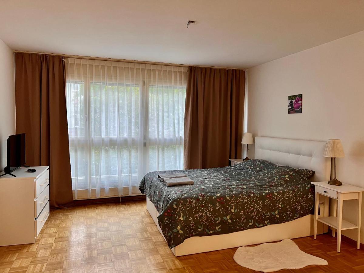 Comfort Appartment 2 Schafzimmer Basel Luaran gambar